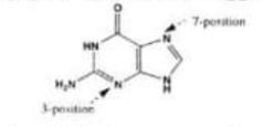 Chemistry, Paper 2, Q 6 a, CSS 2021